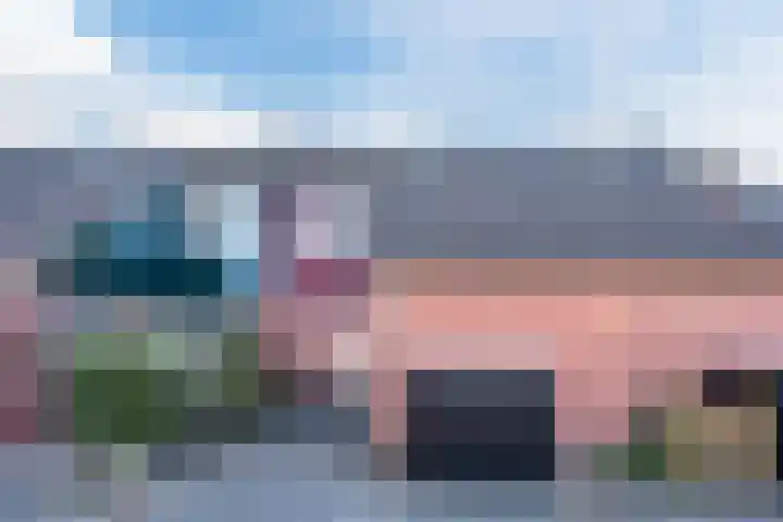 Fluitekruid 11 Bodegraven thumbnail 6