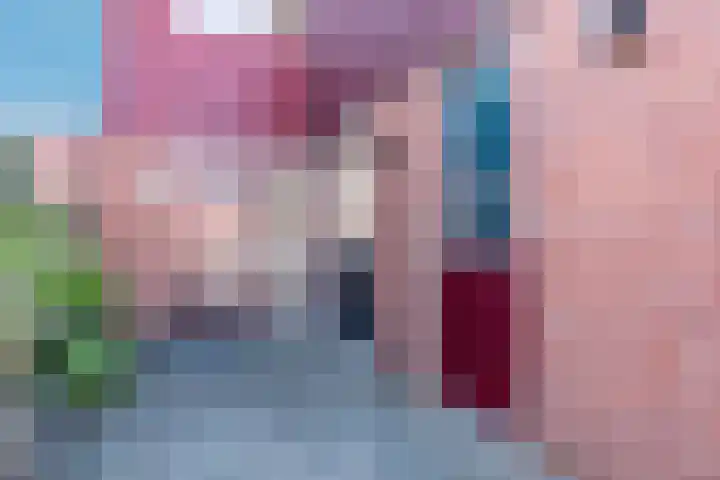 Fluitekruid 11 Bodegraven thumbnail 7