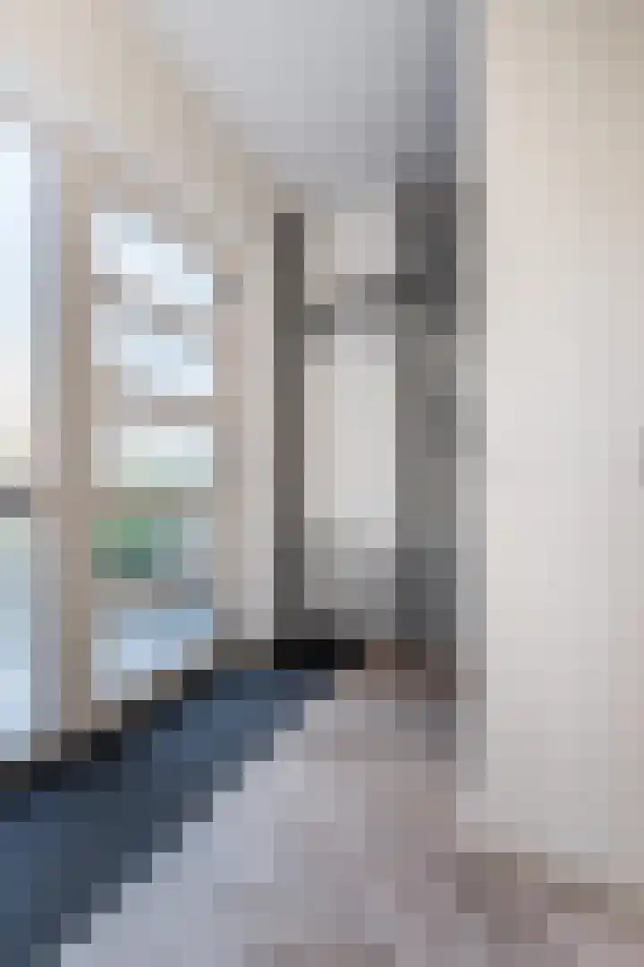 Fluitekruid 11 Bodegraven thumbnail 8
