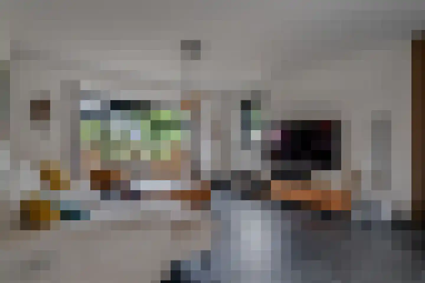 Fluitekruid 11 Eelde thumbnail 16