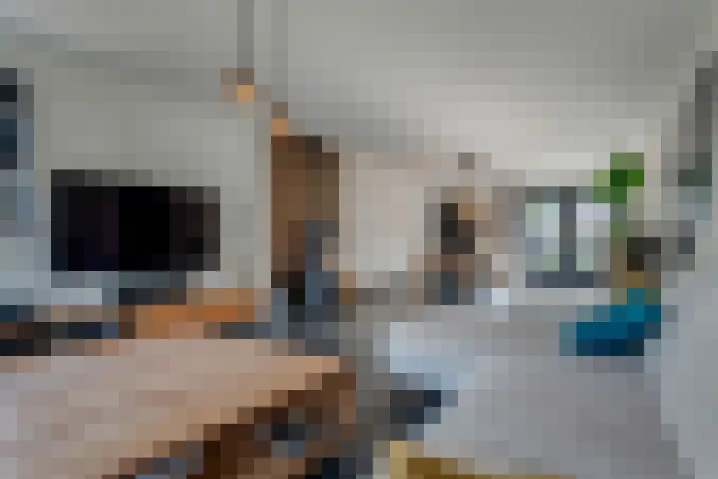 Fluitekruid 11 Eelde thumbnail 18