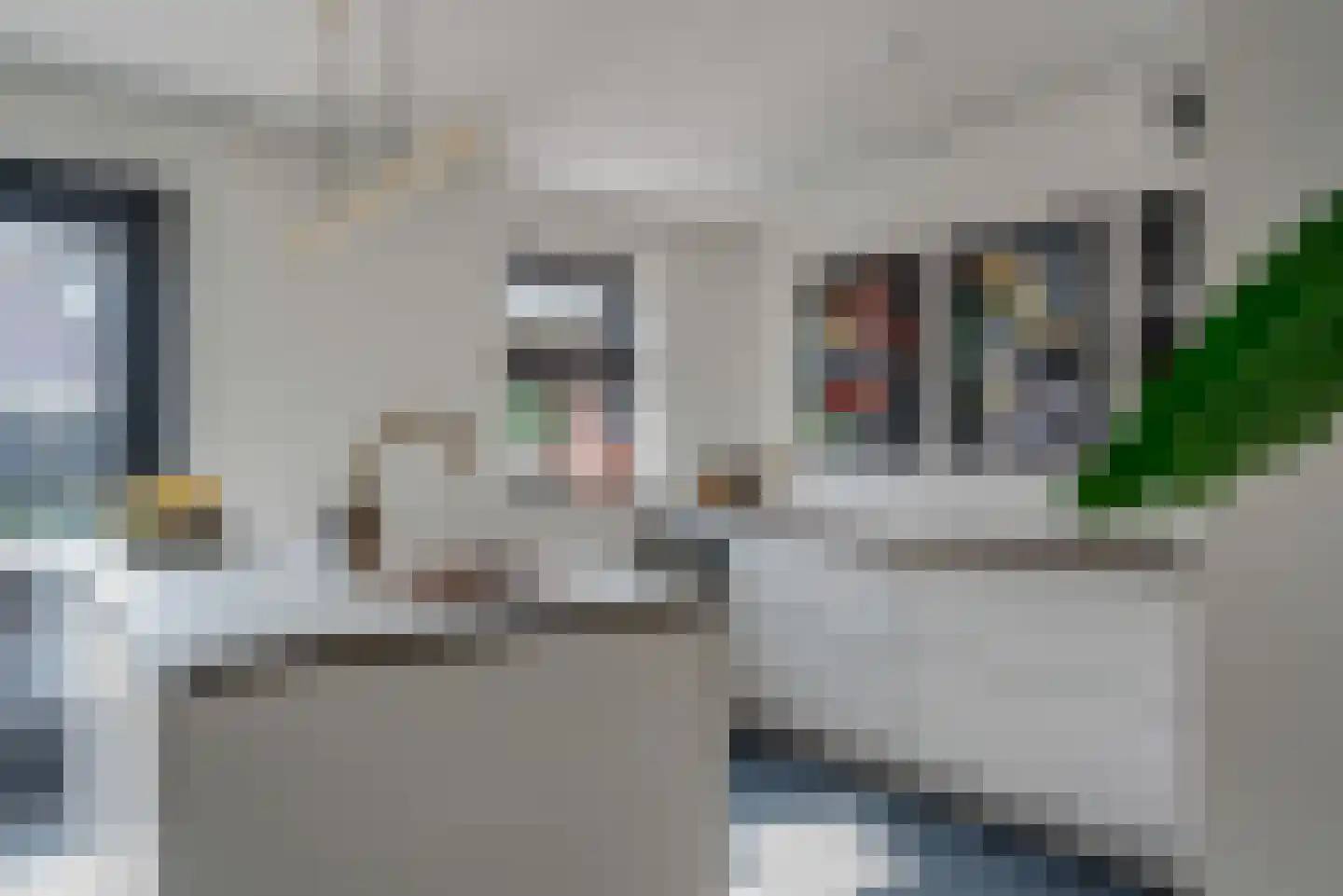 Fluitekruid 11 Eelde thumbnail 23