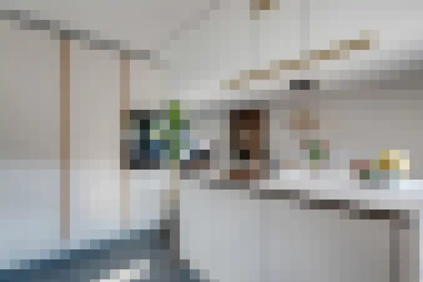 Fluitekruid 11 Eelde thumbnail 25