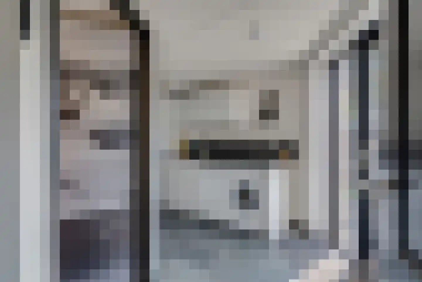 Fluitekruid 11 Eelde thumbnail 26