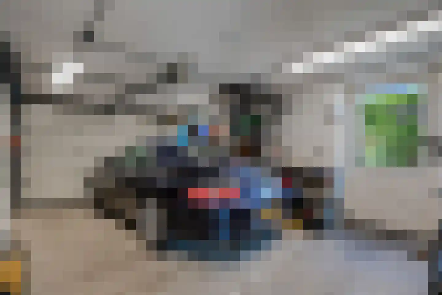 Fluitekruid 11 Eelde thumbnail 28