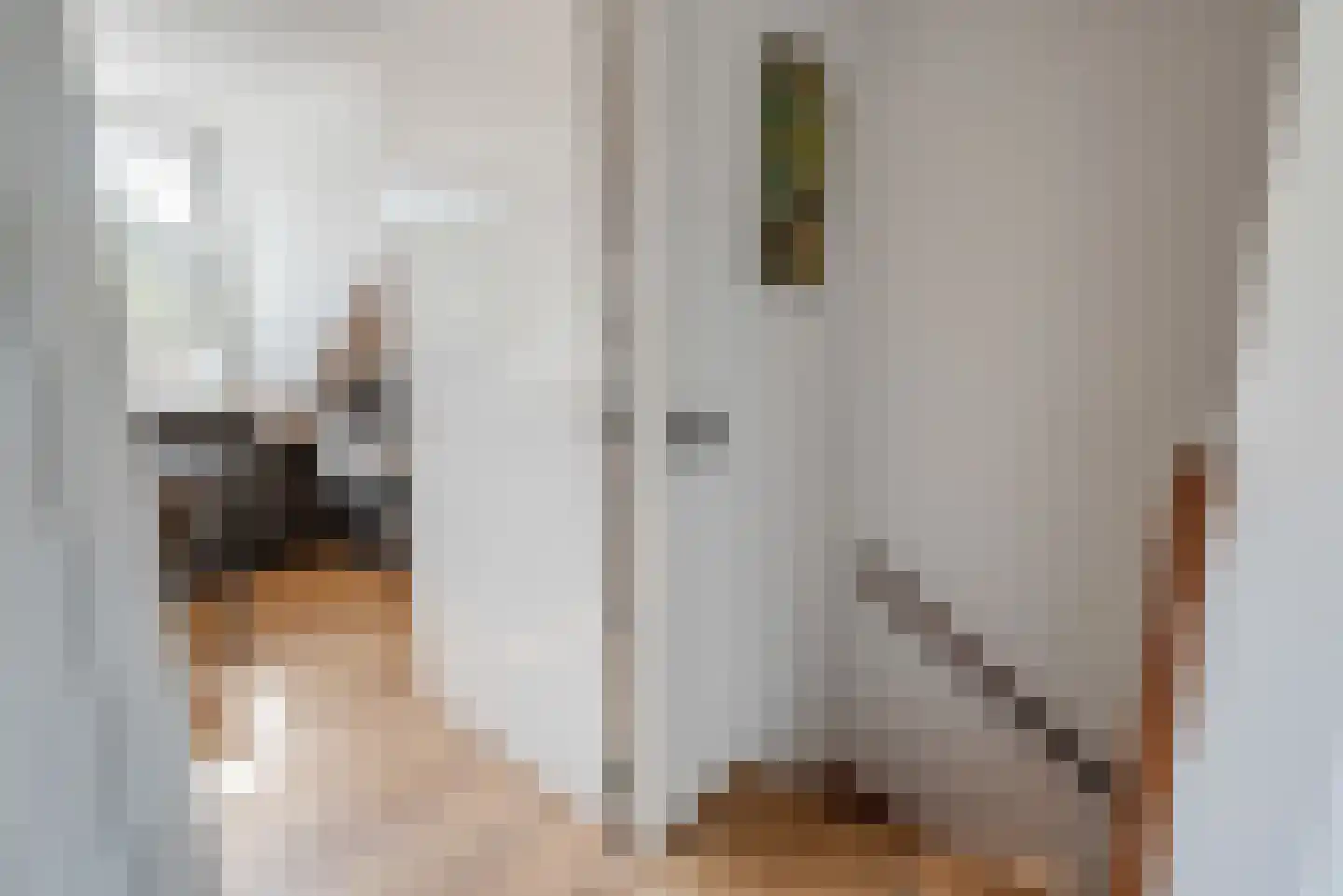 Fluitekruid 11 Eelde thumbnail 42