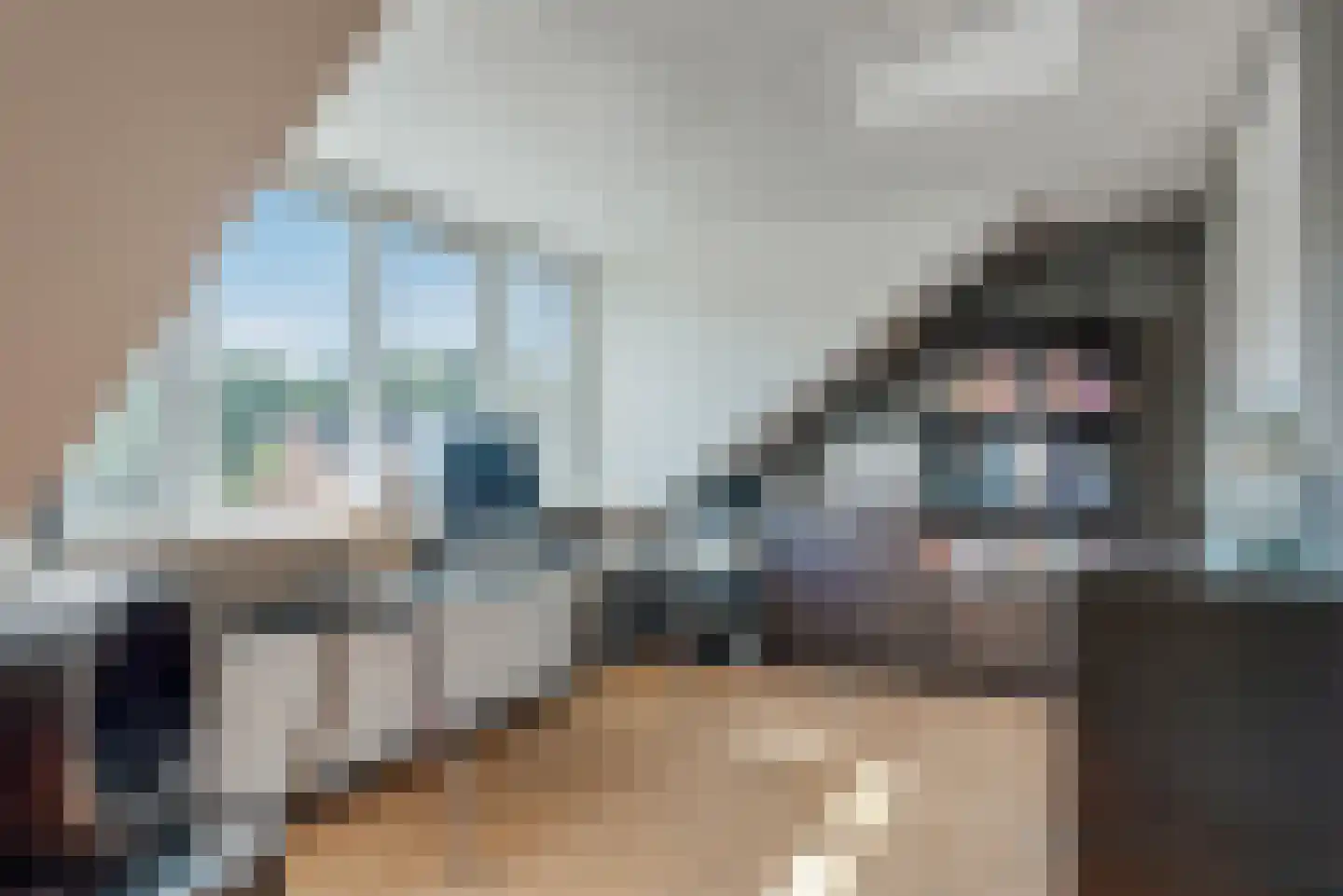 Fluitekruid 11 Eelde thumbnail 44