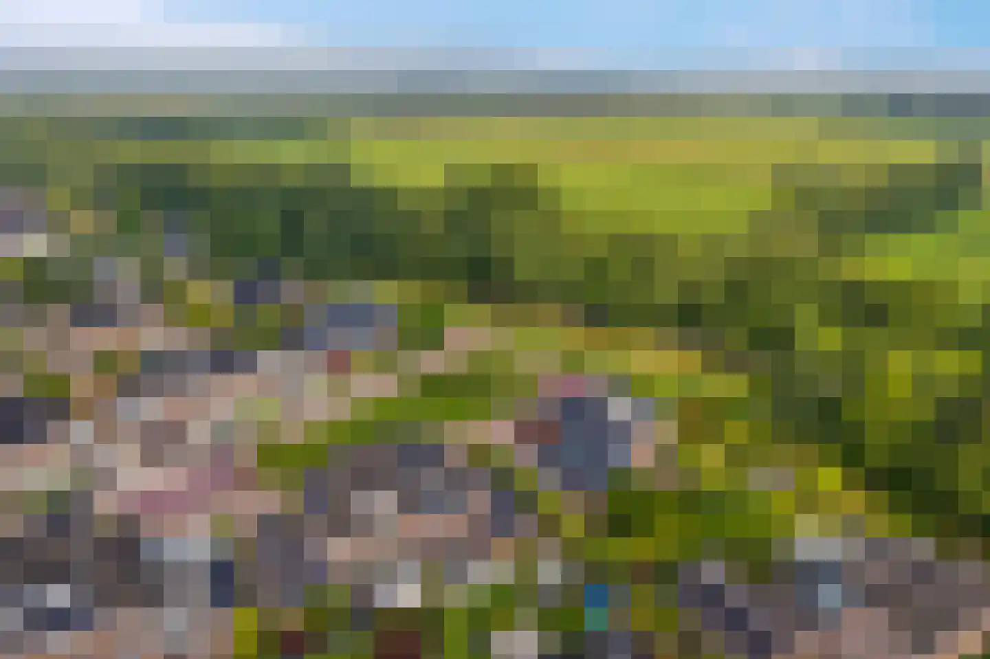 Fluitekruid 11 Eelde thumbnail 5