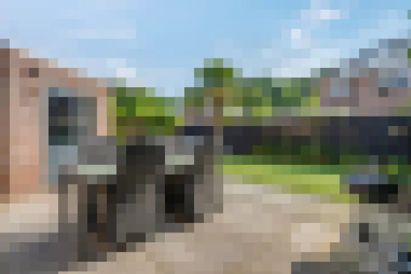 Fluitekruid 11 Eelde thumbnail 51