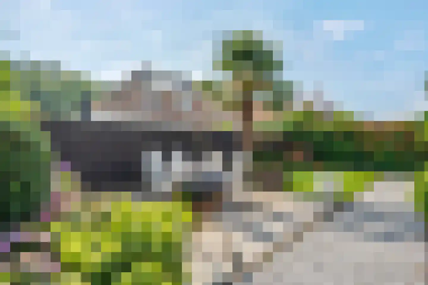 Fluitekruid 11 Eelde thumbnail 53