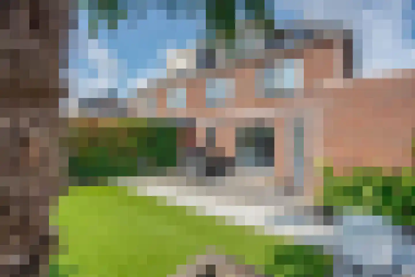 Fluitekruid 11 Eelde thumbnail 54