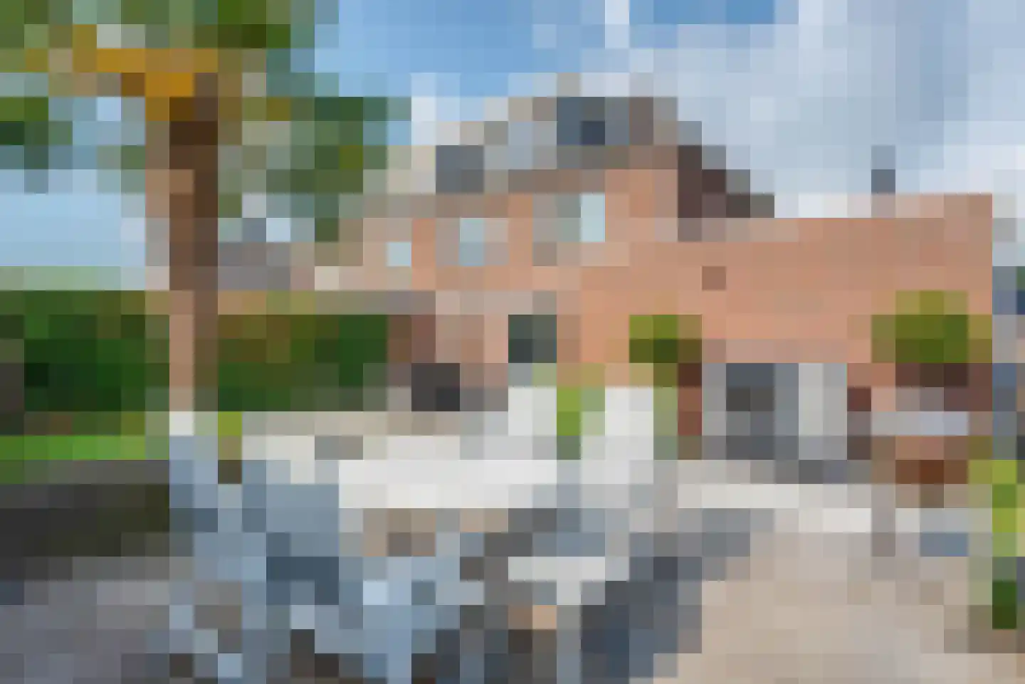 Fluitekruid 11 Eelde thumbnail 55