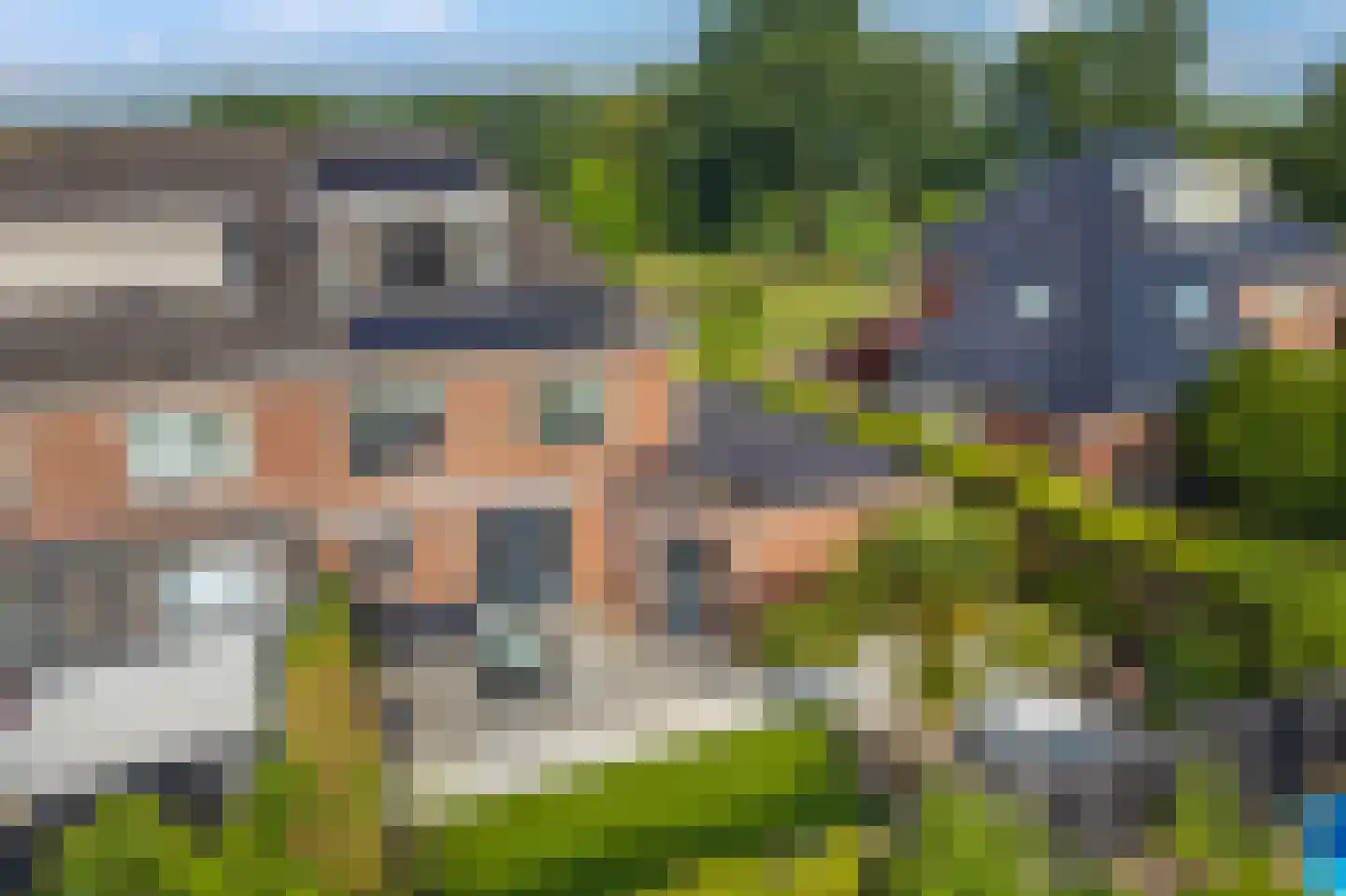 Fluitekruid 11 Eelde thumbnail 56