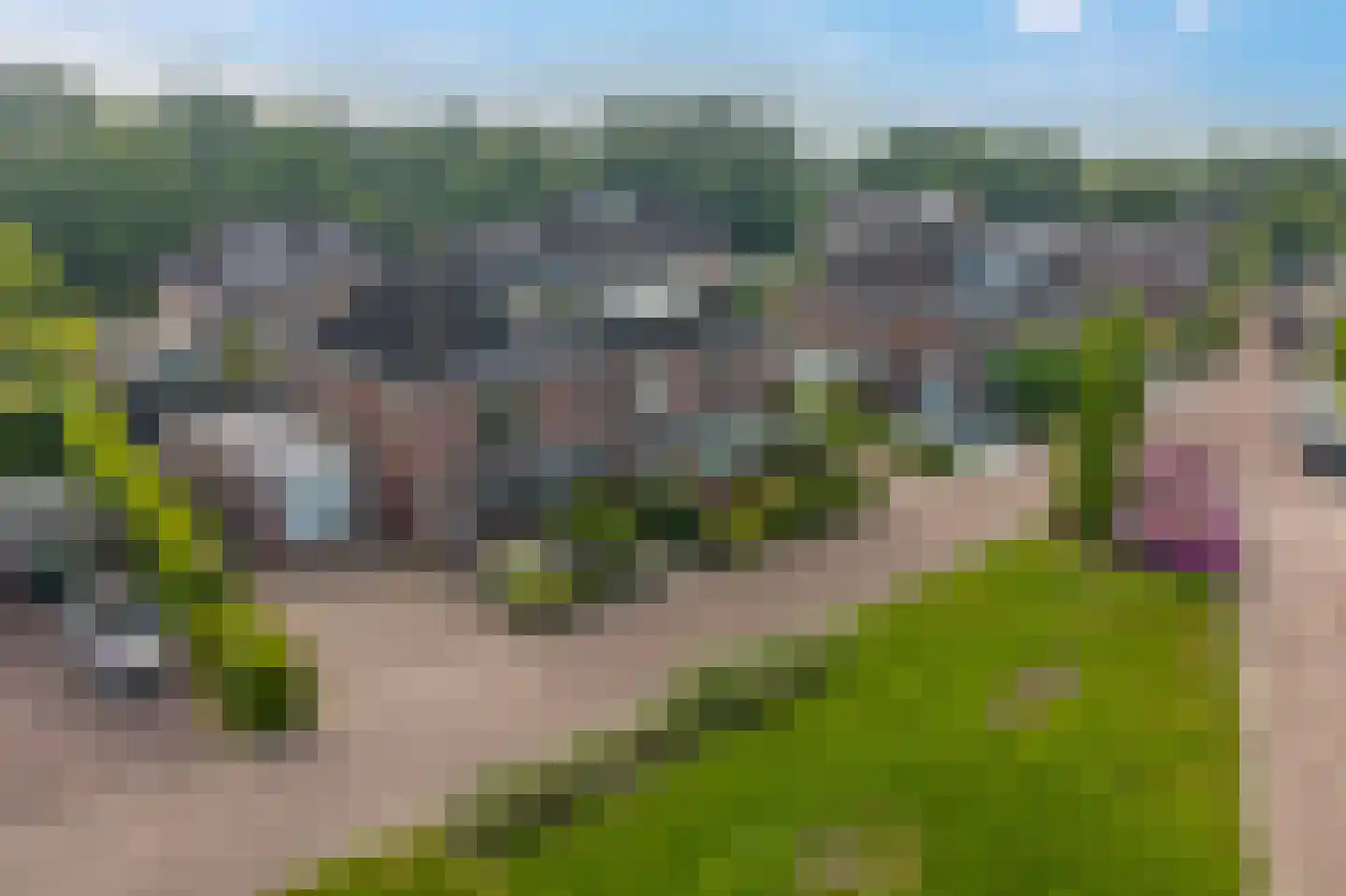 Fluitekruid 11 Eelde thumbnail 58