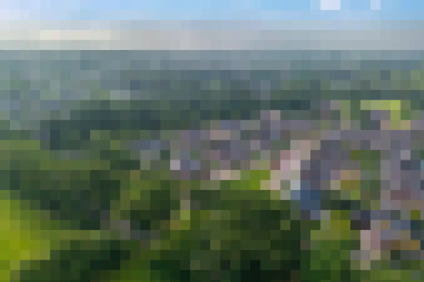 Fluitekruid 11 Eelde thumbnail 59