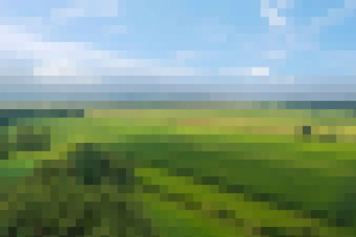 Fluitekruid 11 Eelde thumbnail 61