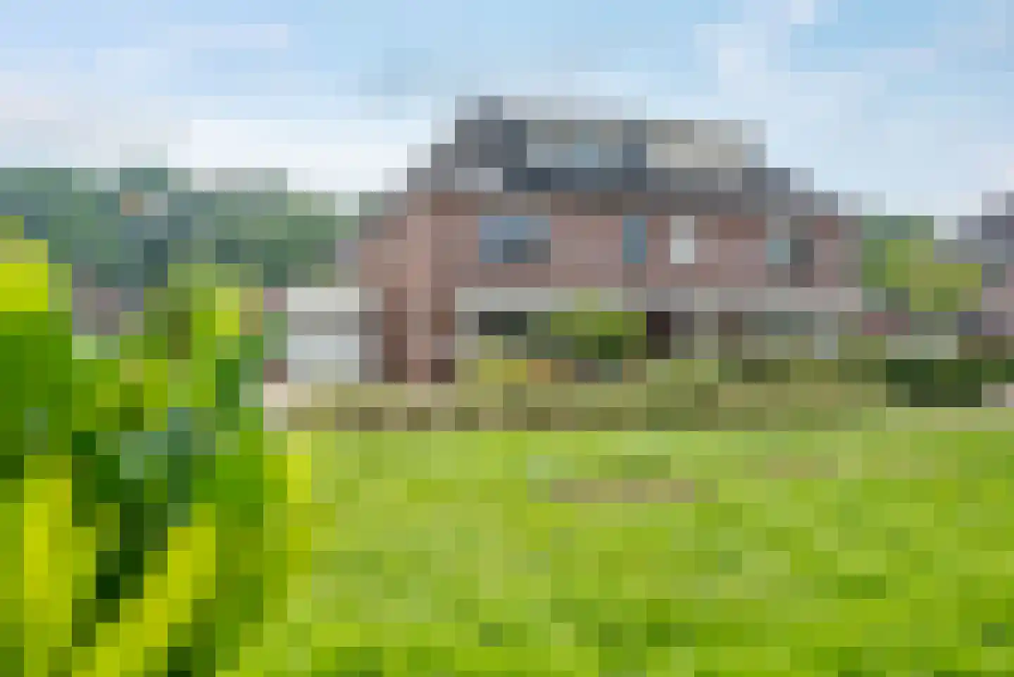 Fluitekruid 11 Eelde thumbnail 7