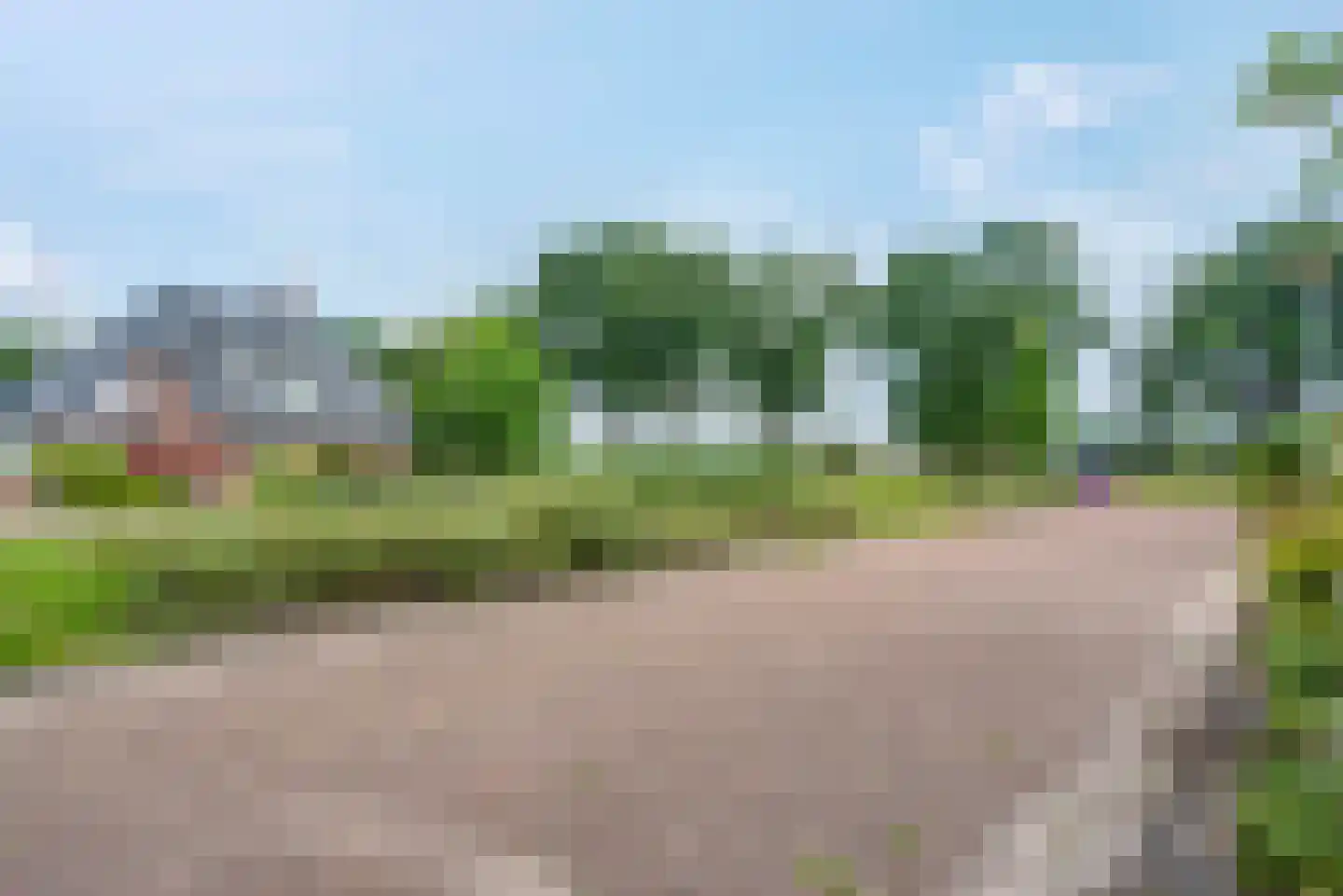 Fluitekruid 11 Eelde thumbnail 8