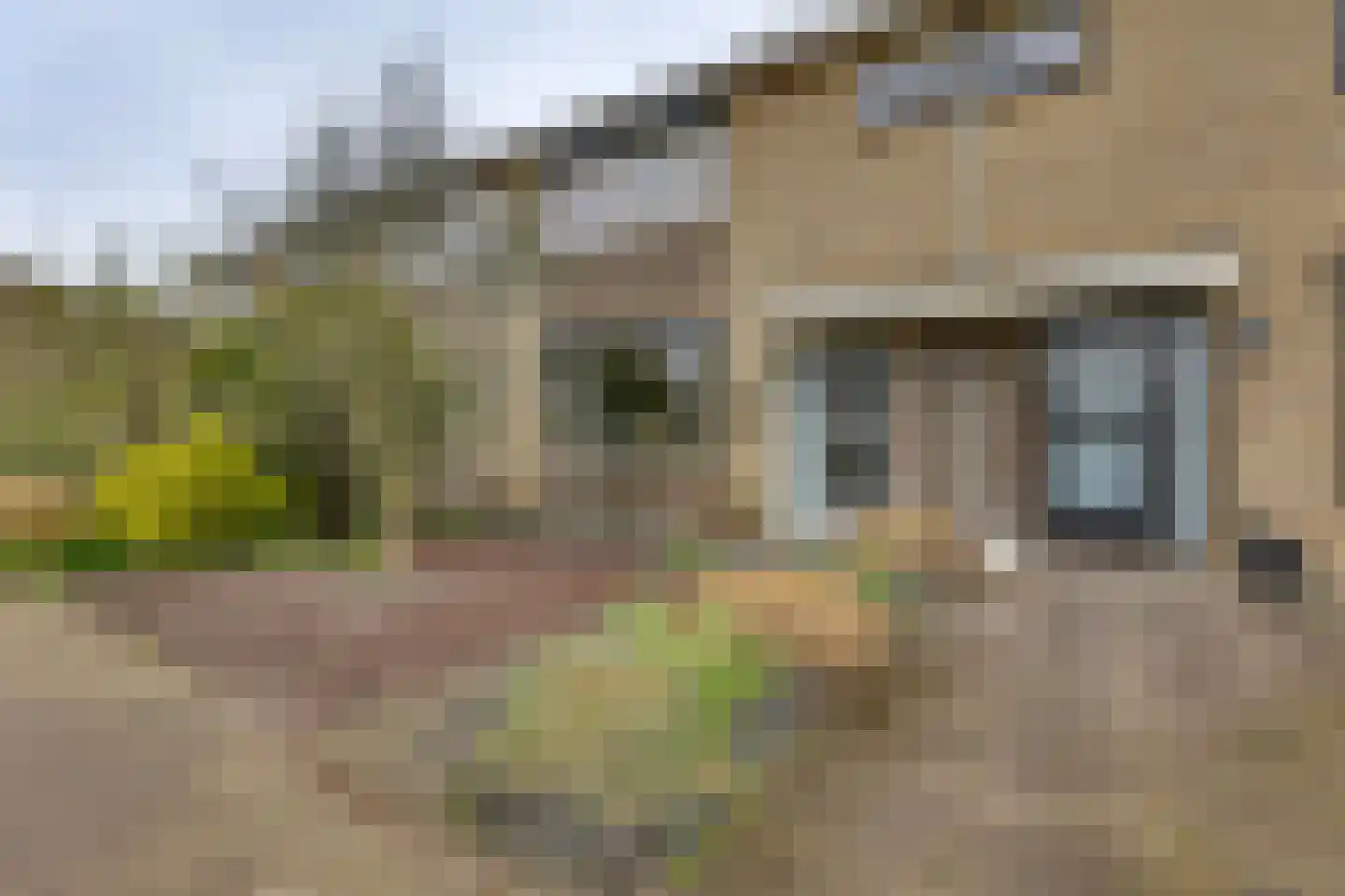 Fluitekruid 13 Kampen thumbnail 10