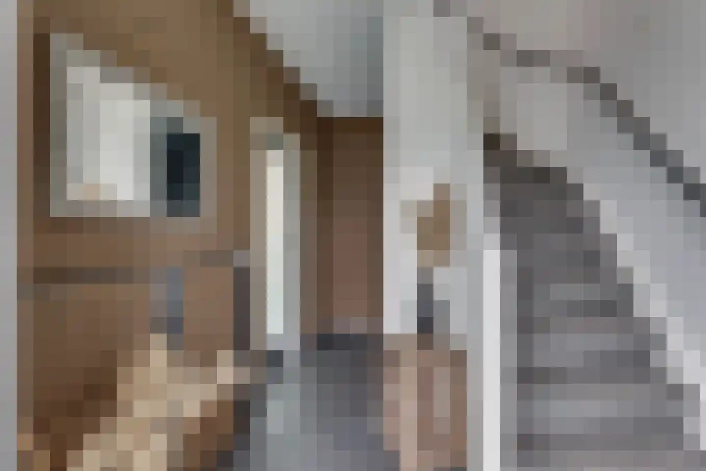 Fluitekruid 13 Kampen thumbnail 13