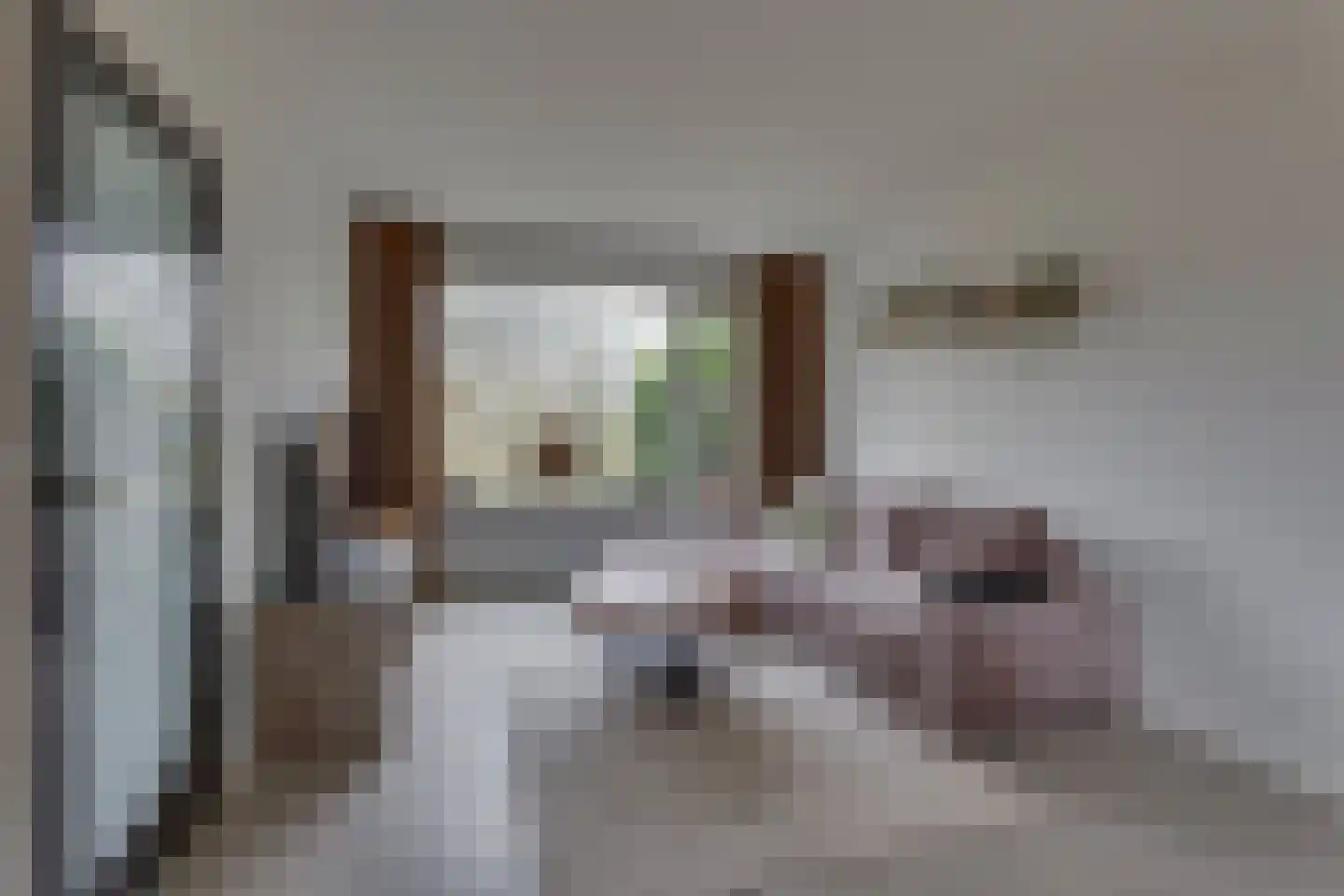 Fluitekruid 13 Kampen thumbnail 14