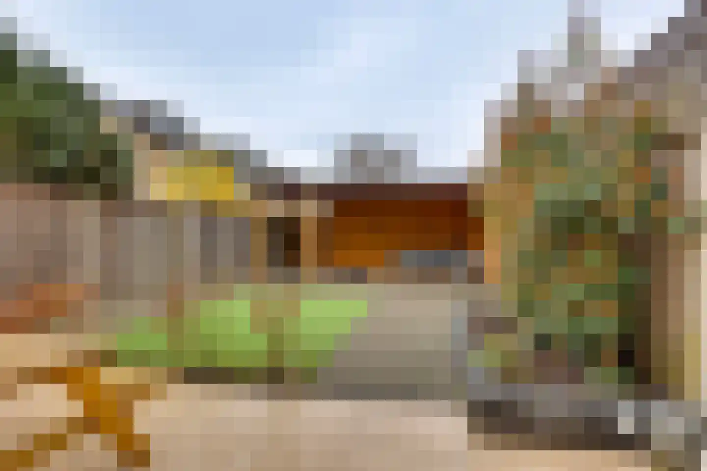 Fluitekruid 13 Kampen thumbnail 20
