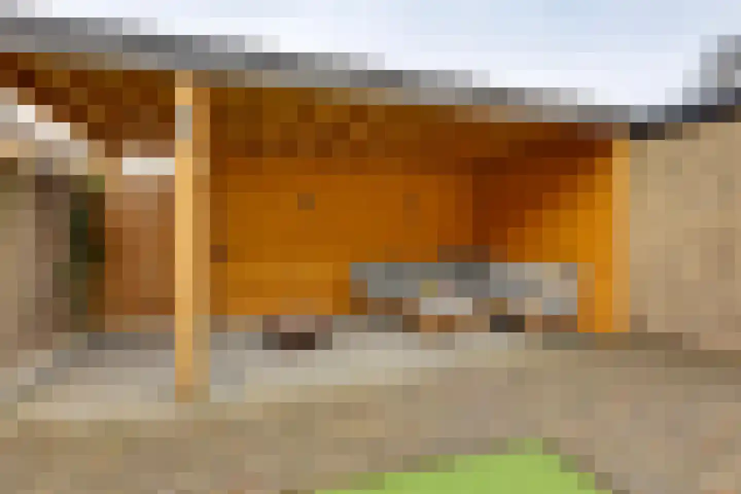 Fluitekruid 13 Kampen thumbnail 21