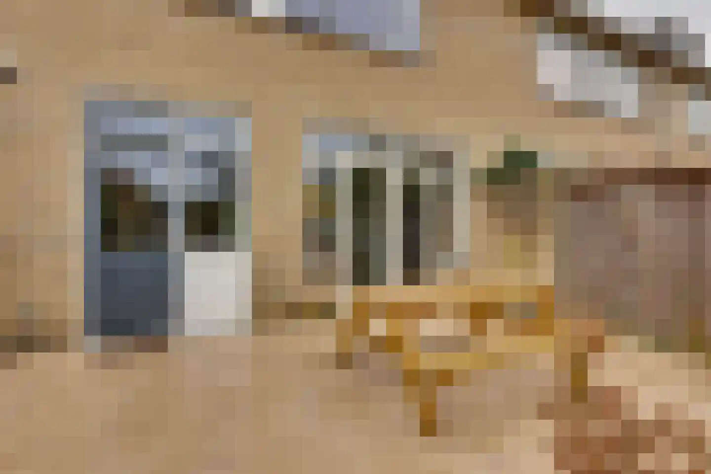 Fluitekruid 13 Kampen thumbnail 22