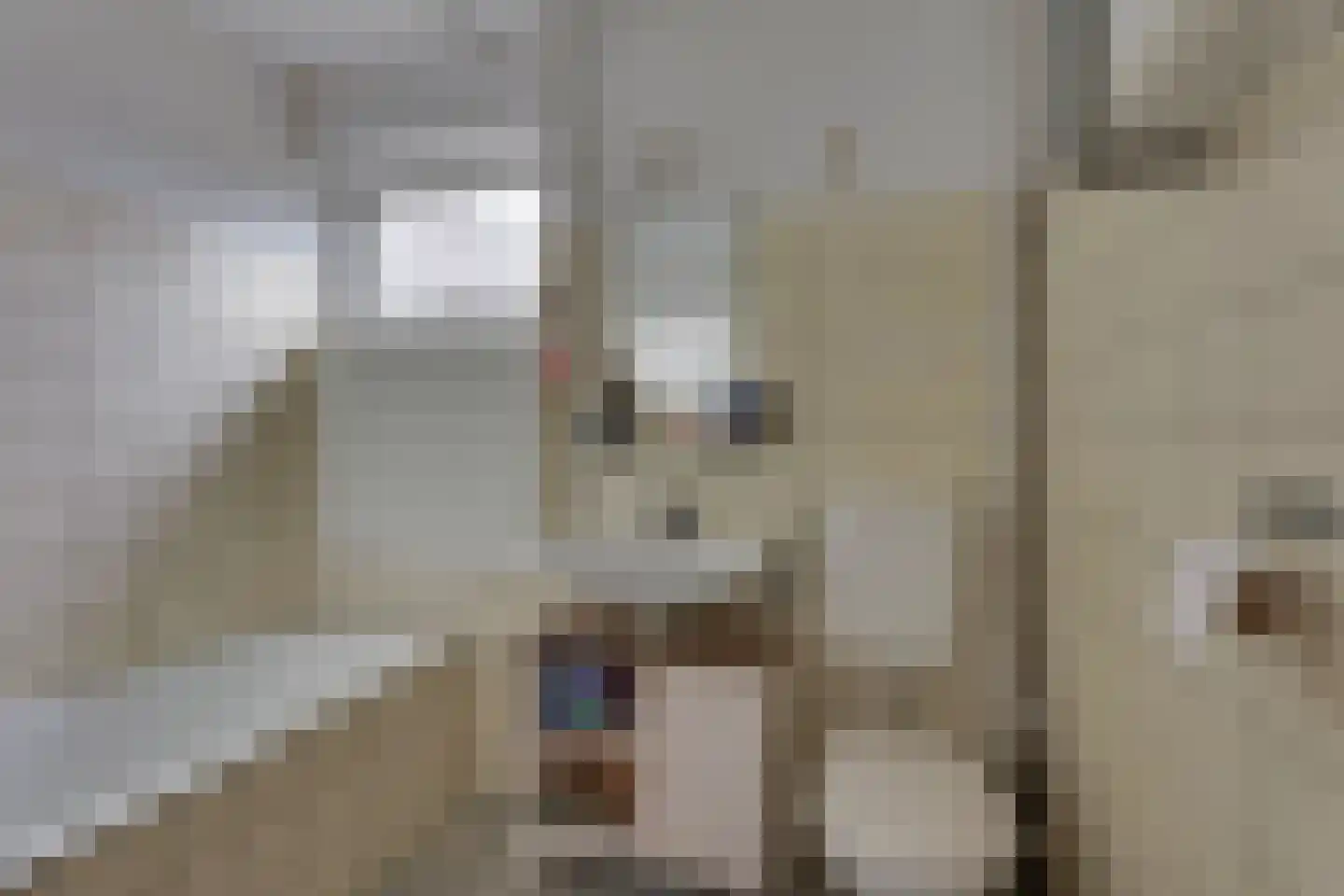 Fluitekruid 13 Kampen thumbnail 23