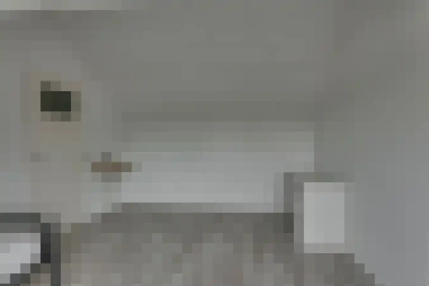 Fluitekruid 13 Kampen thumbnail 33