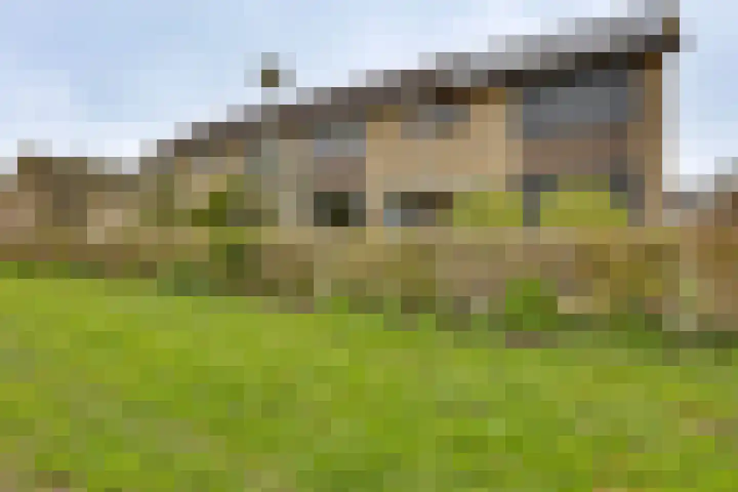 Fluitekruid 13 Kampen thumbnail 36