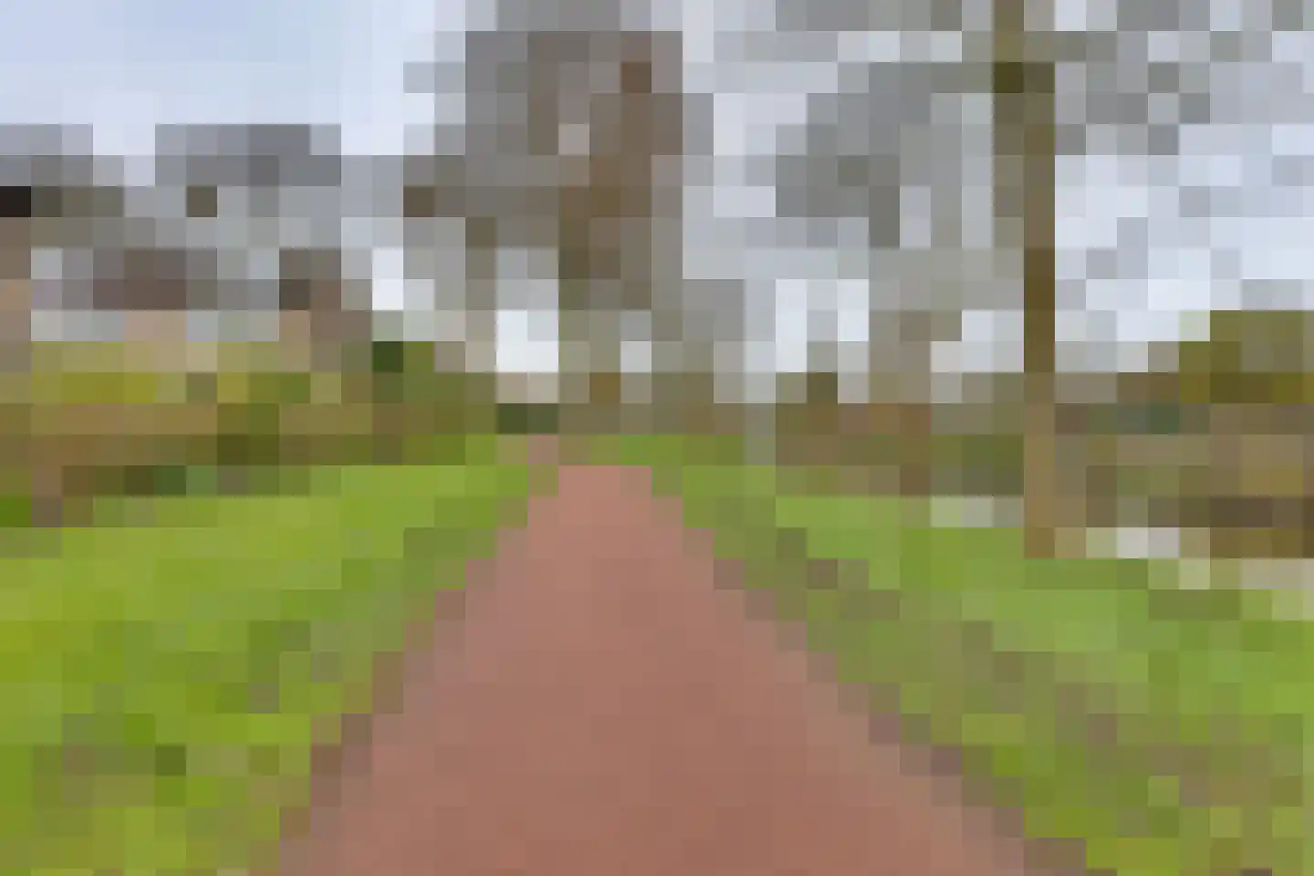 Fluitekruid 13 Kampen thumbnail 37