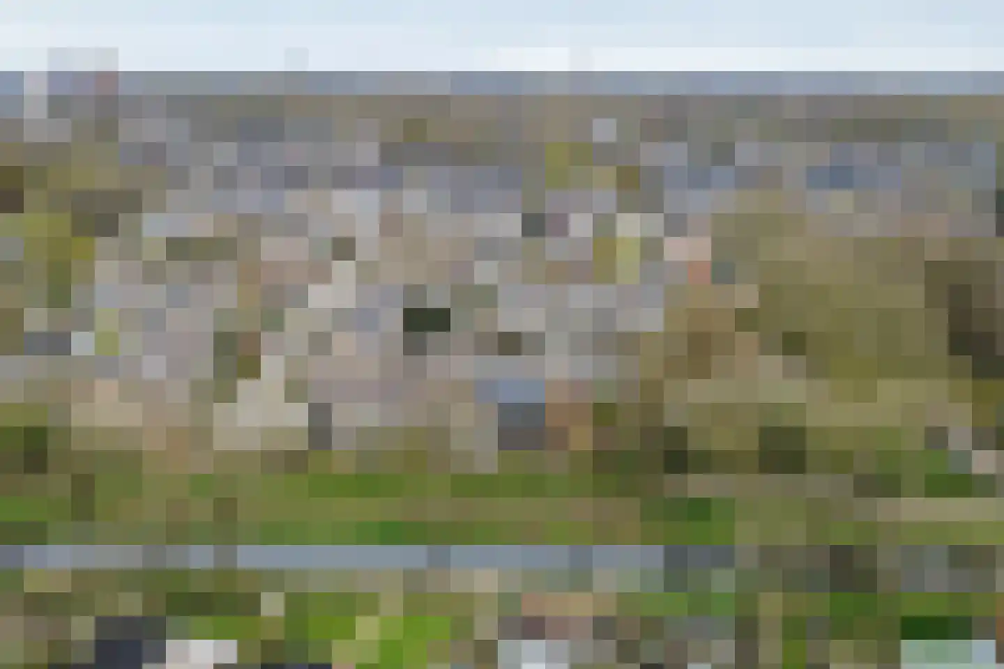 Fluitekruid 13 Kampen thumbnail 38