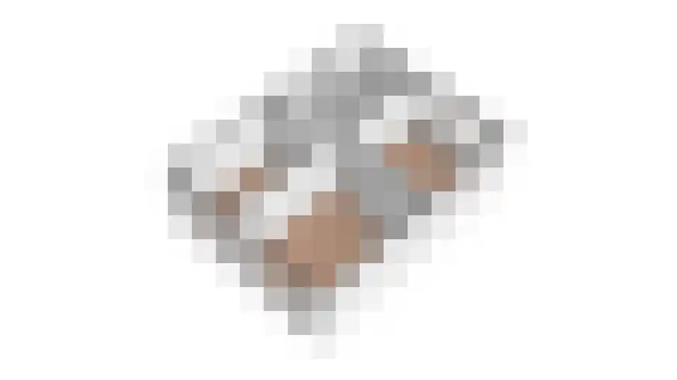 Fluitekruid 13 Kampen thumbnail 43