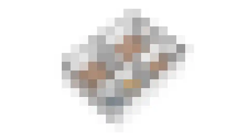 Fluitekruid 13 Kampen thumbnail 44