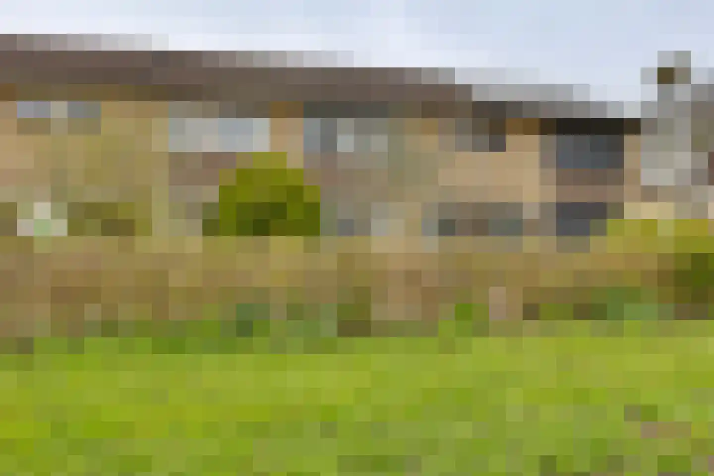 Fluitekruid 13 Kampen thumbnail 6