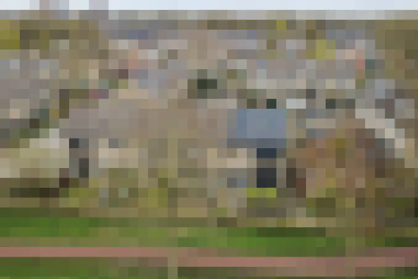Fluitekruid 13 Kampen thumbnail 7