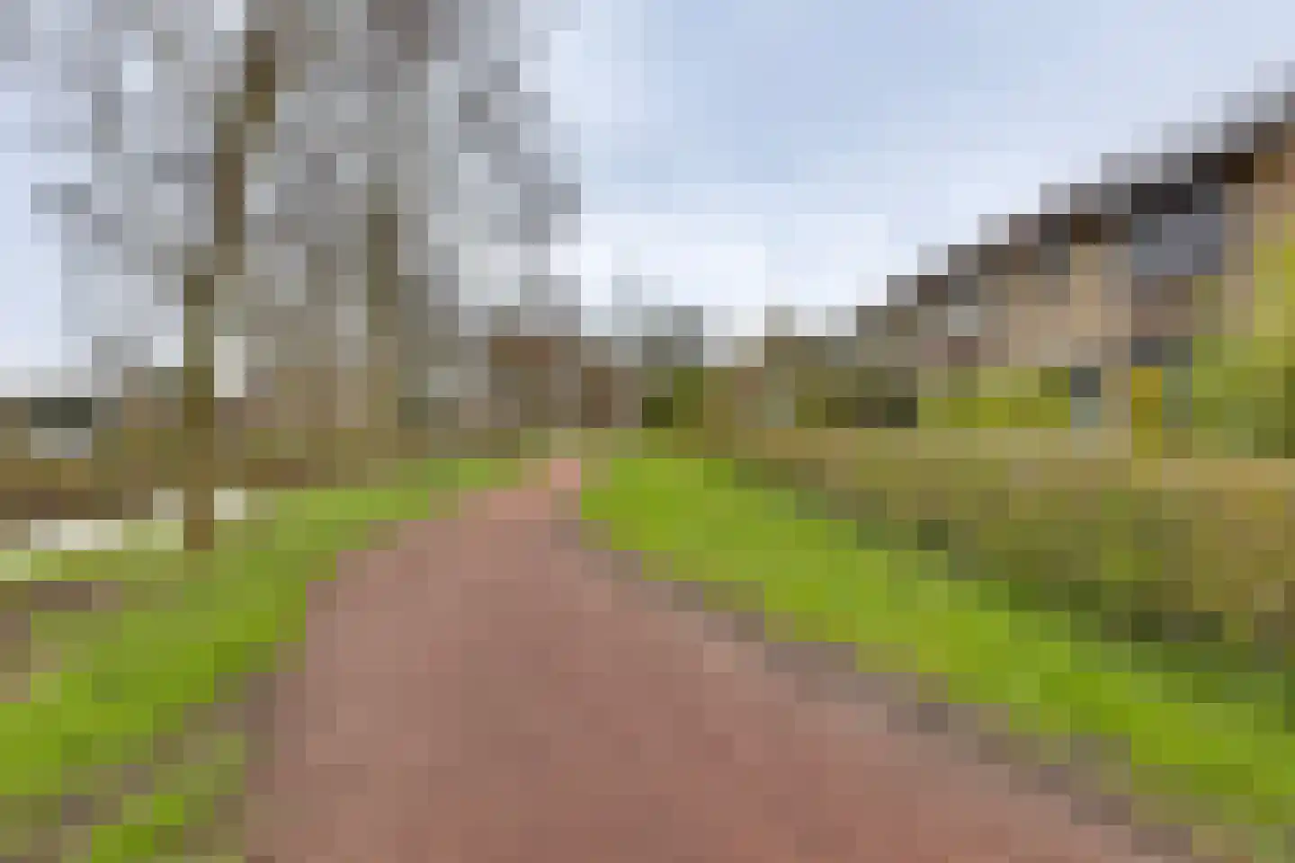 Fluitekruid 13 Kampen thumbnail 8