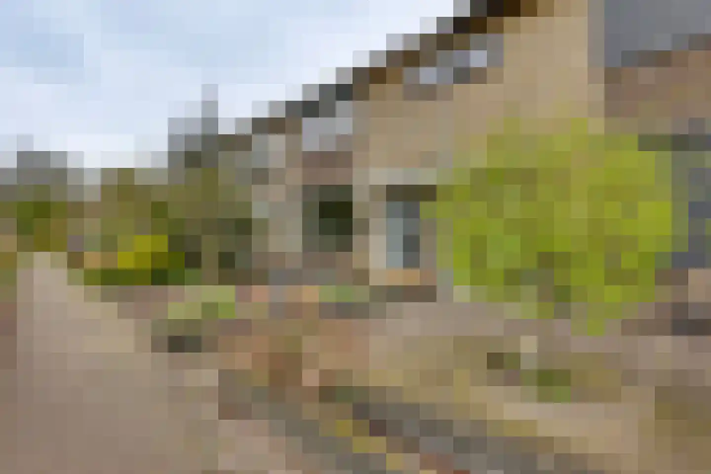Fluitekruid 13 Kampen thumbnail 9