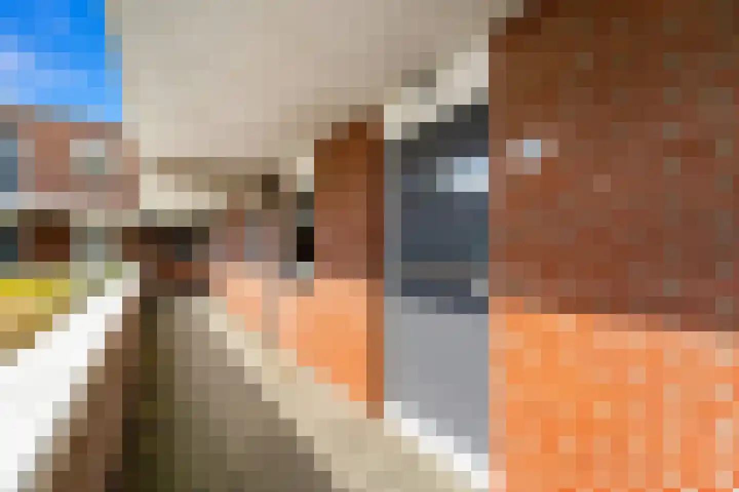 Fluitekruid 14 Den Hoorn thumbnail 11