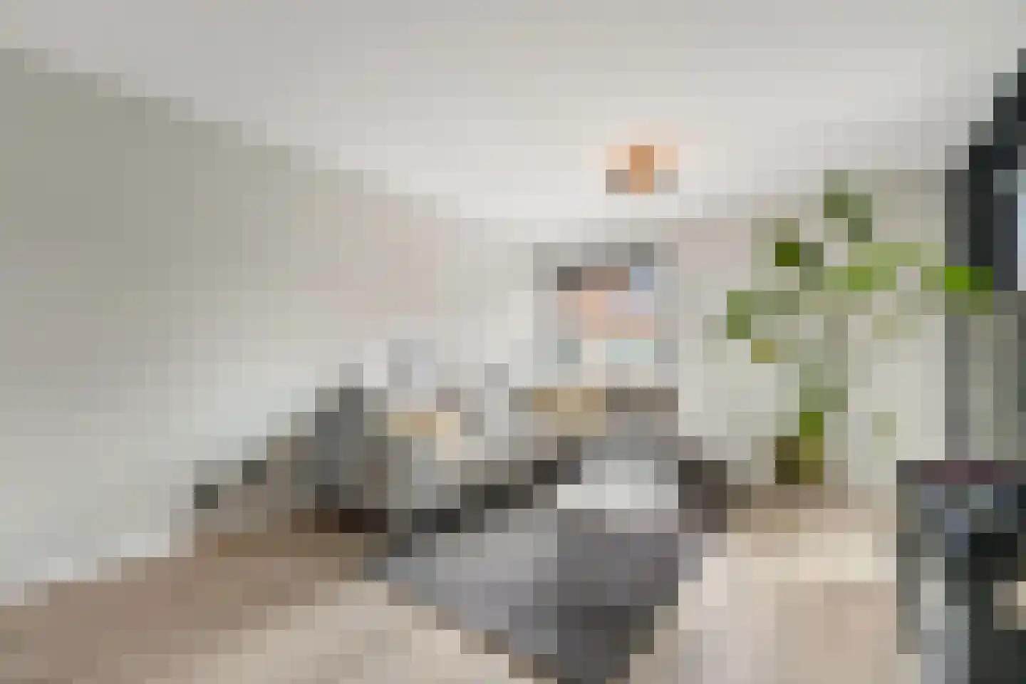Fluitekruid 14 Den Hoorn thumbnail 14