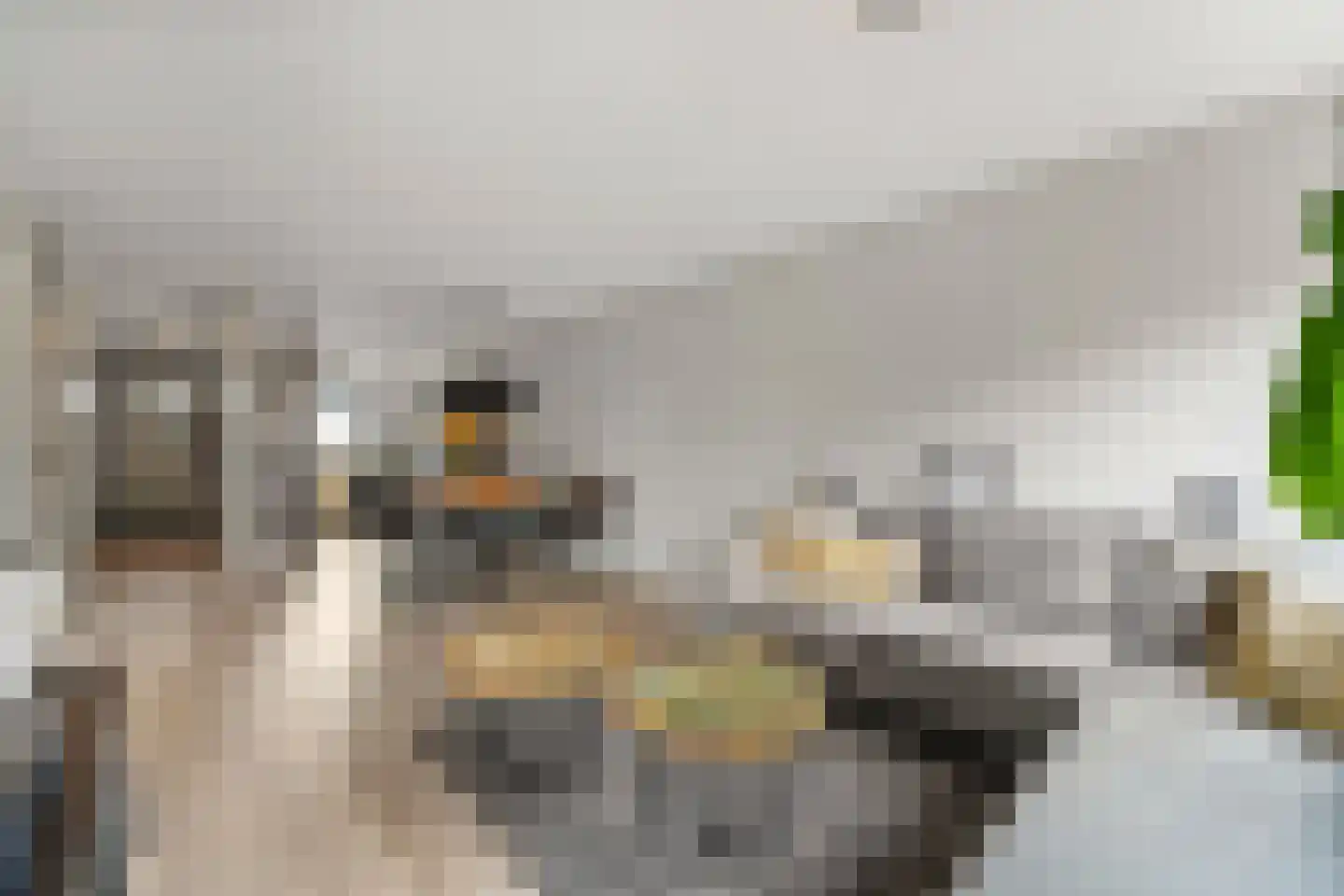 Fluitekruid 14 Den Hoorn thumbnail 15