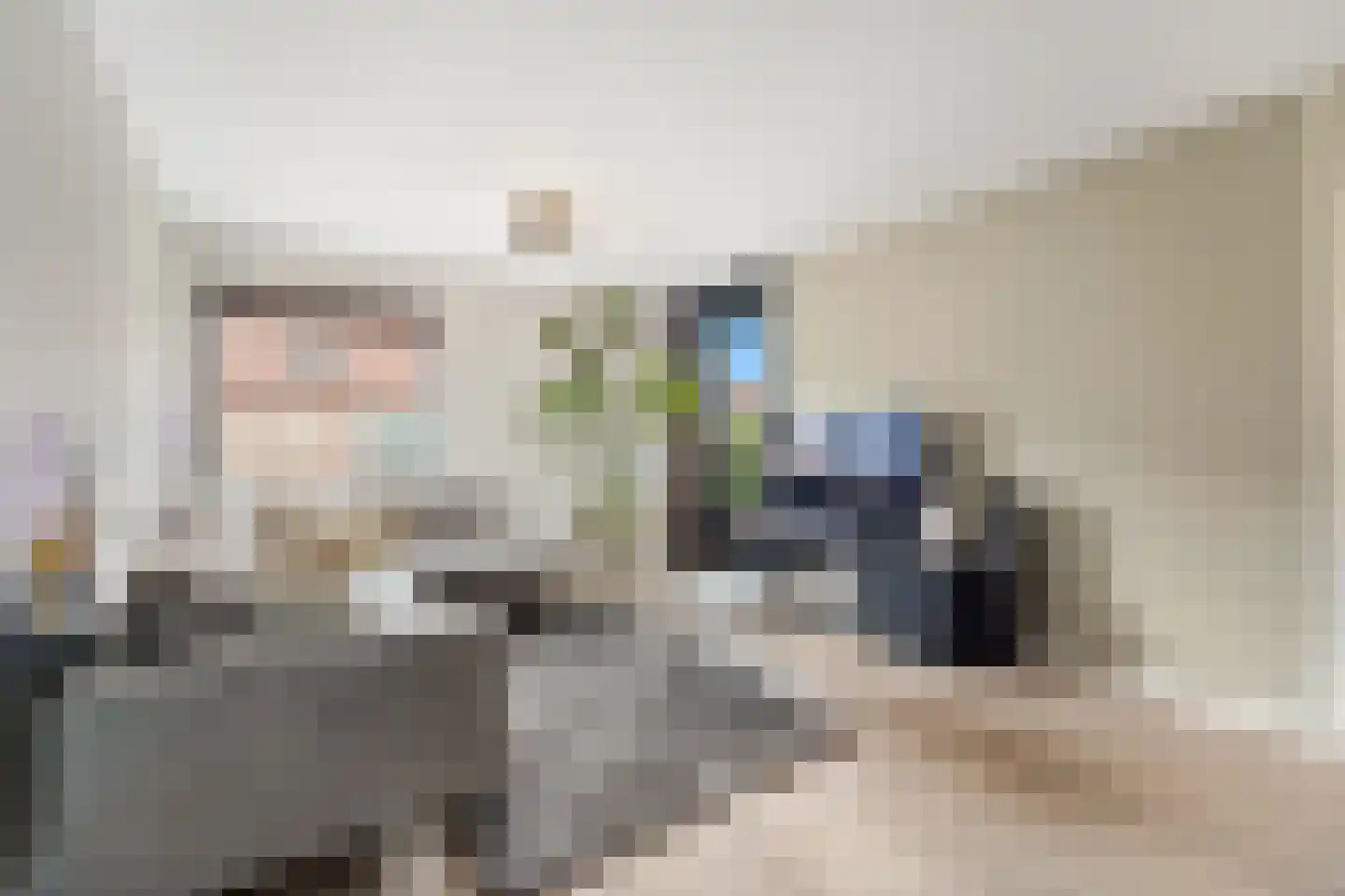 Fluitekruid 14 Den Hoorn thumbnail 16