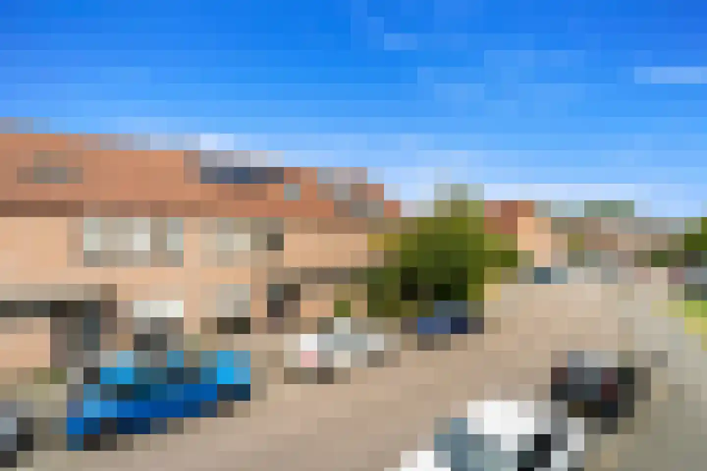 Fluitekruid 14 Den Hoorn thumbnail 19