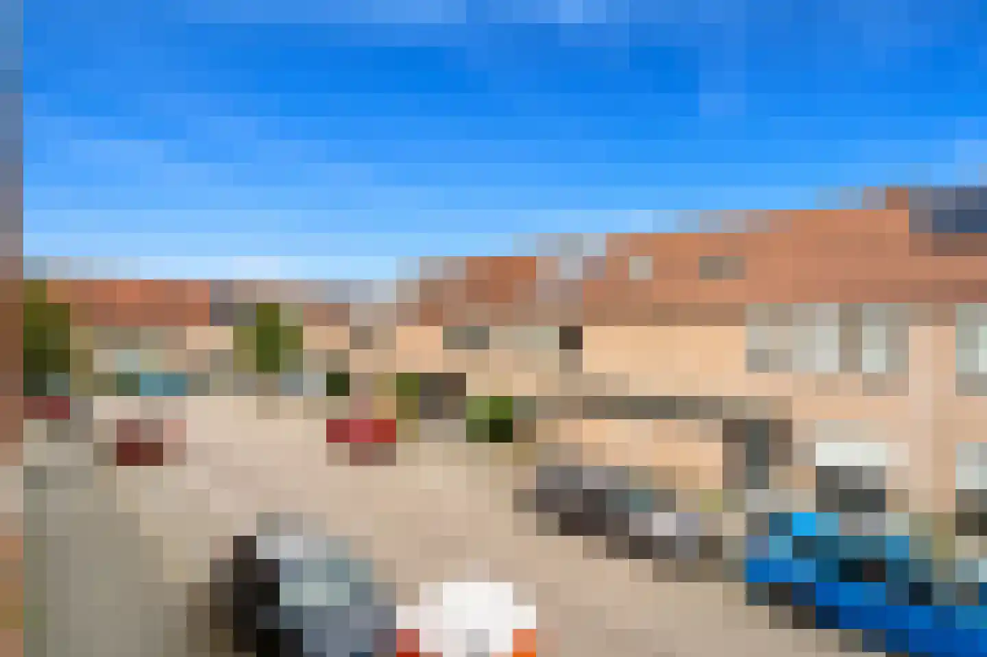 Fluitekruid 14 Den Hoorn thumbnail 20