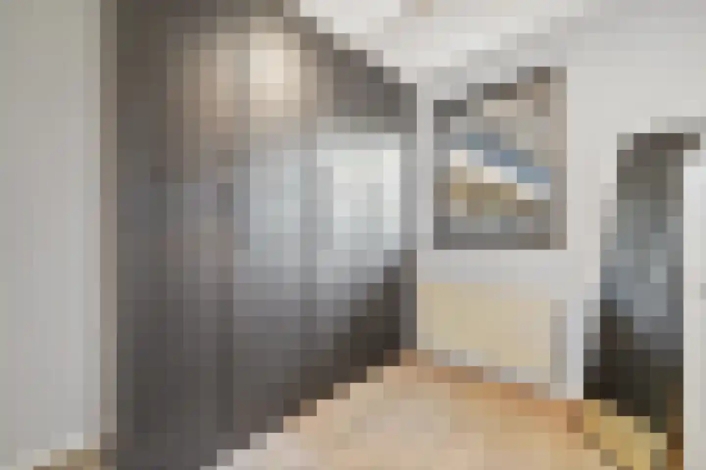 Fluitekruid 14 Den Hoorn thumbnail 32