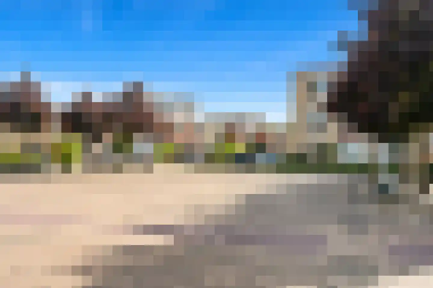 Fluitekruid 14 Den Hoorn thumbnail 34