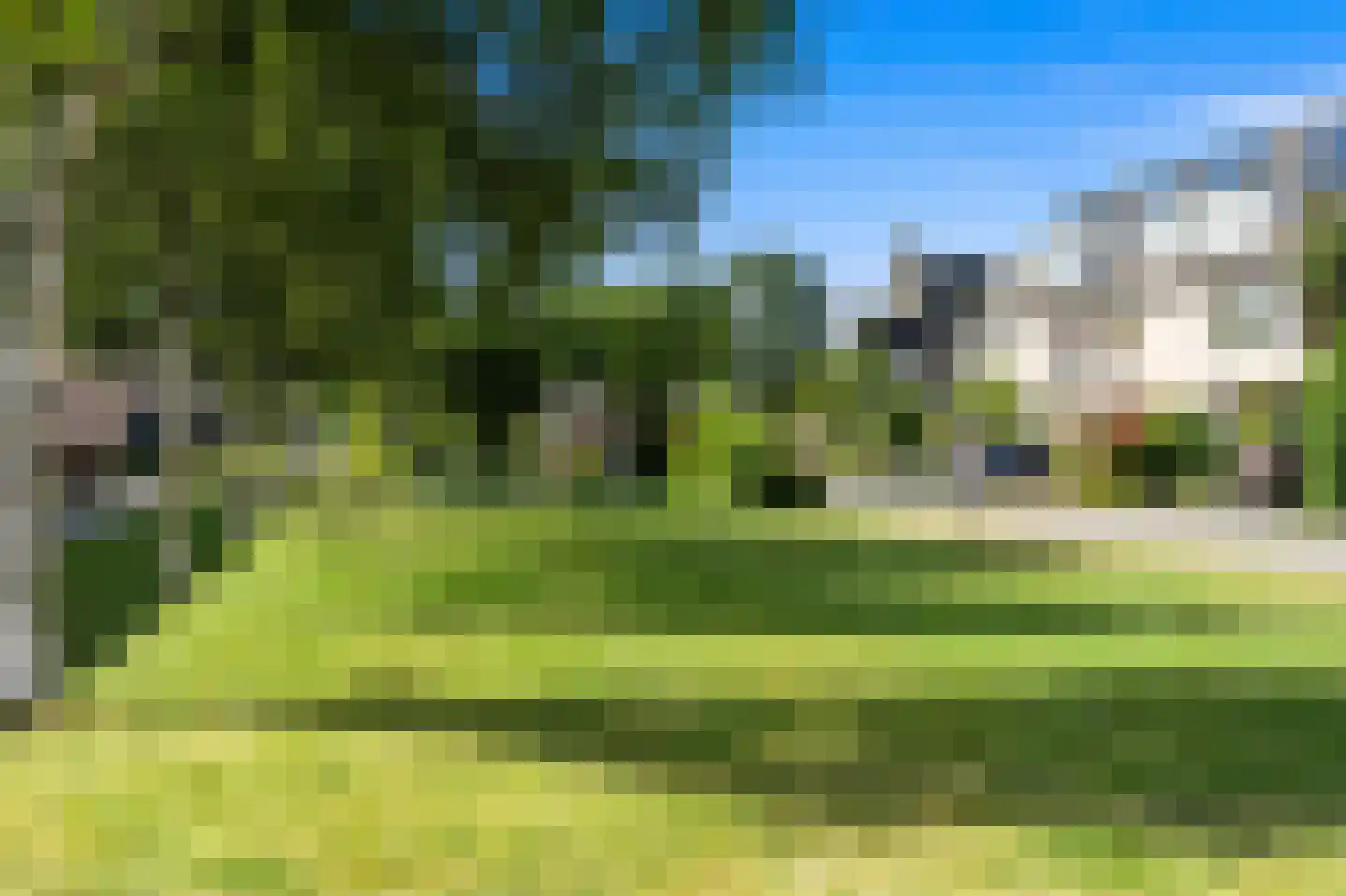 Fluitekruid 14 Den Hoorn thumbnail 36