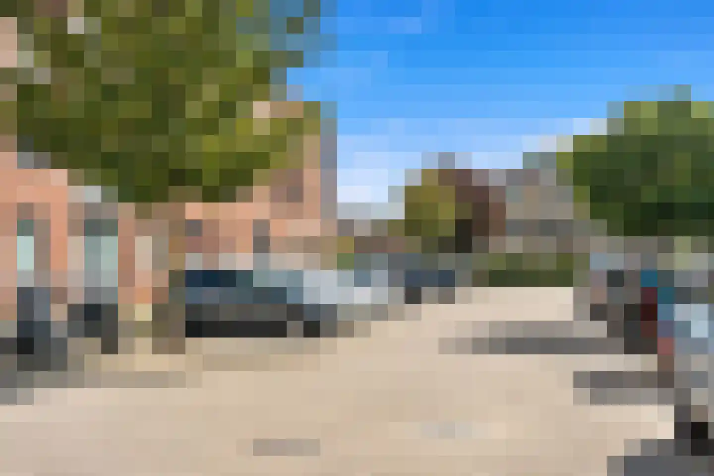 Fluitekruid 14 Den Hoorn thumbnail 37