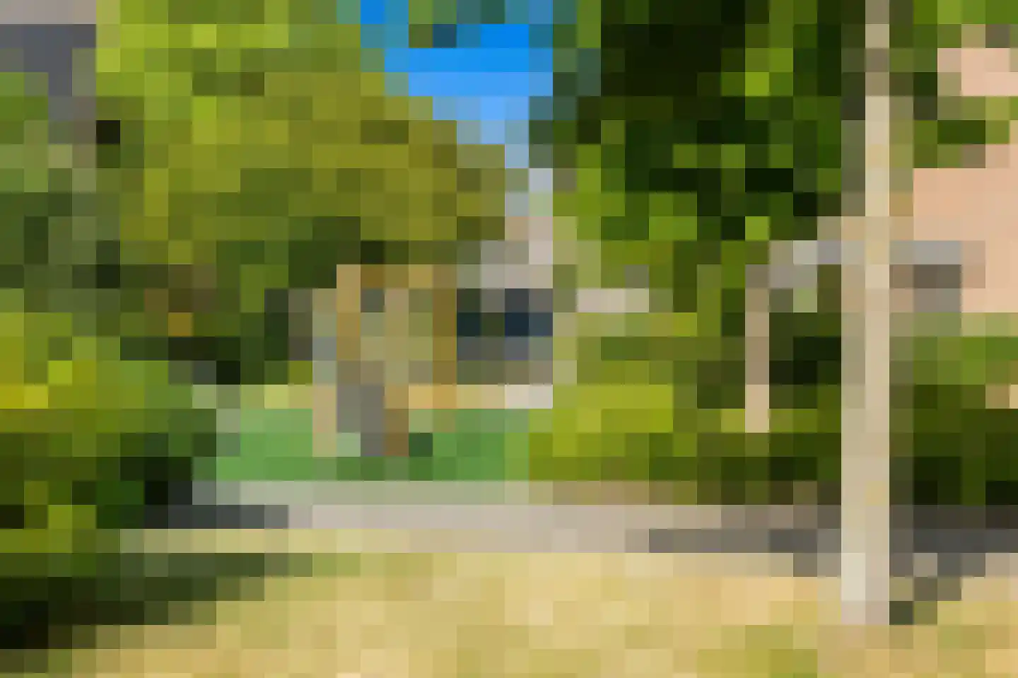 Fluitekruid 14 Den Hoorn thumbnail 38